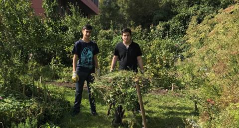Gartenfreunde